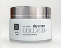 Dead Sea Collection Collagen Anti Wrinkle Day Cream 1.69 fl Oz
